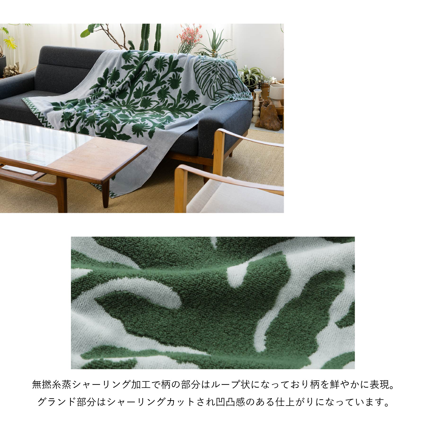タオルケット ノヘアシリーズ withモンステラ #861f ゲッカビジン