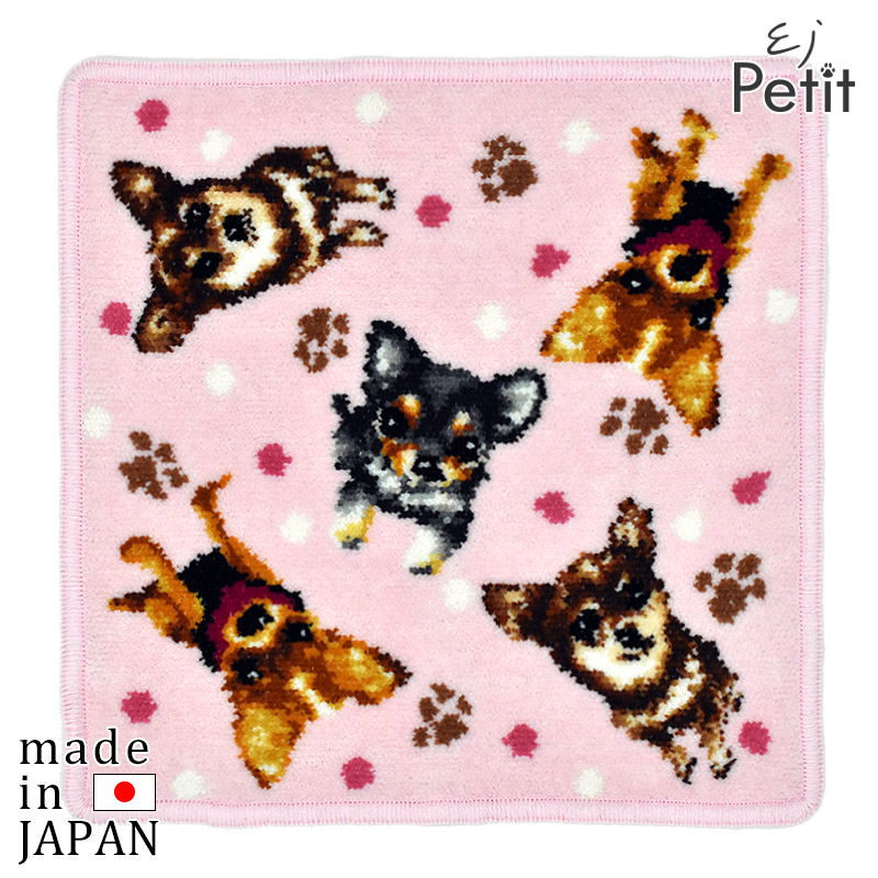 楽天市場】ポメラニアン ミックス ポメプー ポメチワ ブラックタン