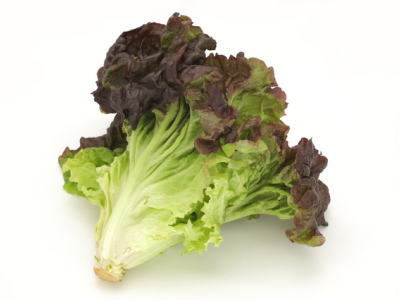 楽天市場】サニーレタス1個、300g前後 : 【築地通販】おいしいなショップ