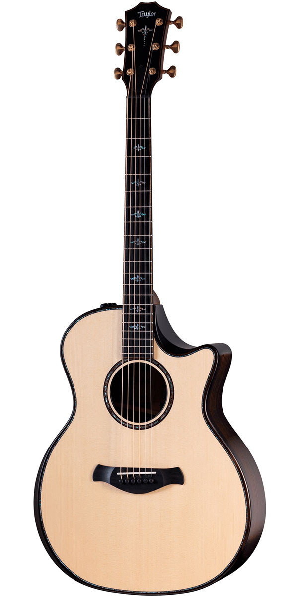 楽天市場】Taylor（テイラー）914ce V-Class : STARROW ONLINE STORE