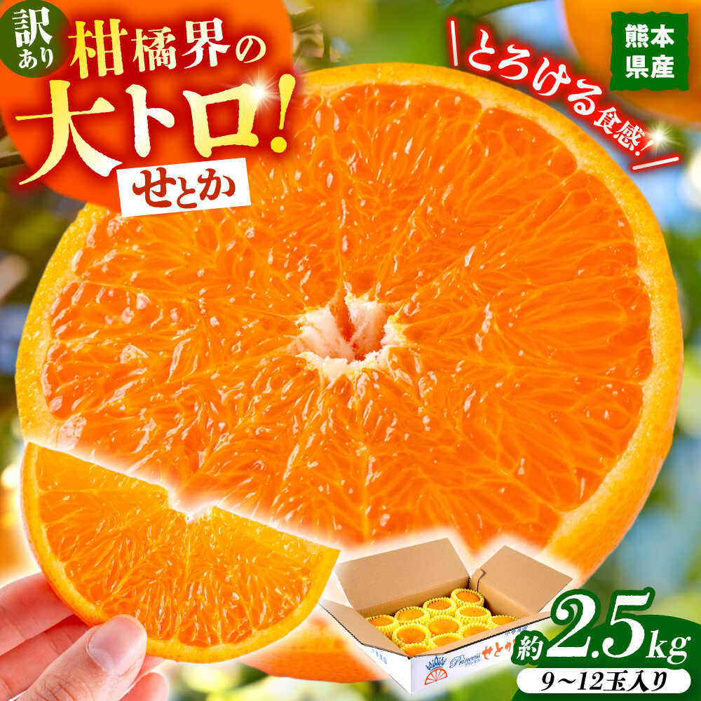 楽天市場】【ふるさと納税】【2026年2月下旬から発送】 みかん ミカン