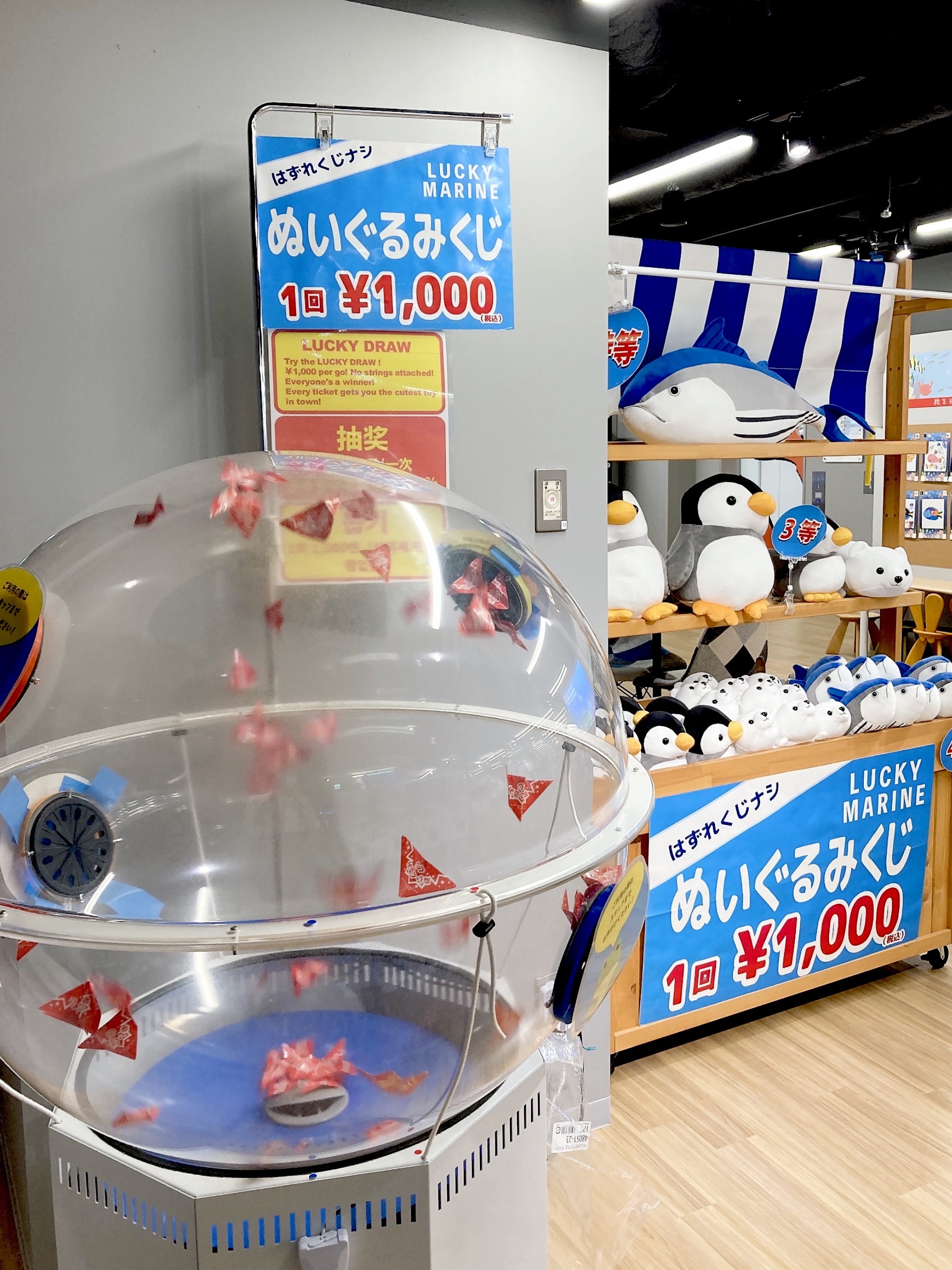 🐢大人気！！ぬいぐるみくじにカメ新登場🐢 | ココアクア | 松坂屋静岡