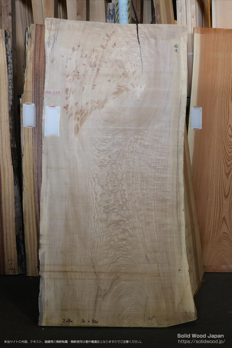 セン（栓）の一枚板 | 無垢材とは | 一枚板比較