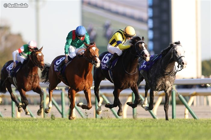 ジャパンC】驚異のレコード！フランスのカランダガンが激戦を制す