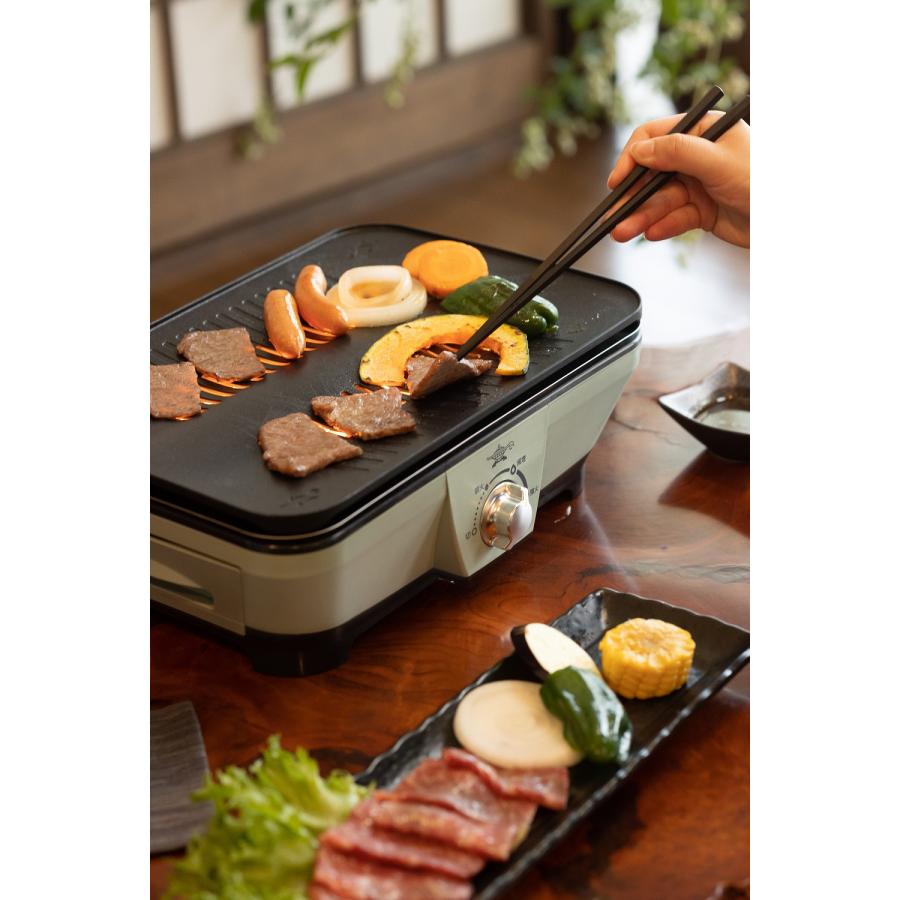 Aladdin(アラジン) グラファイトミニグリラー グリーン -の商品詳細