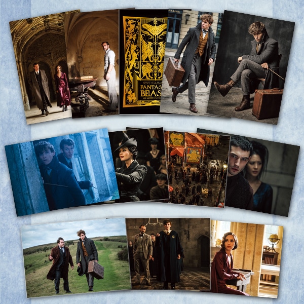 SHOCHIKU STORE | 松竹ストアファンタスティック・ビーストと黒い