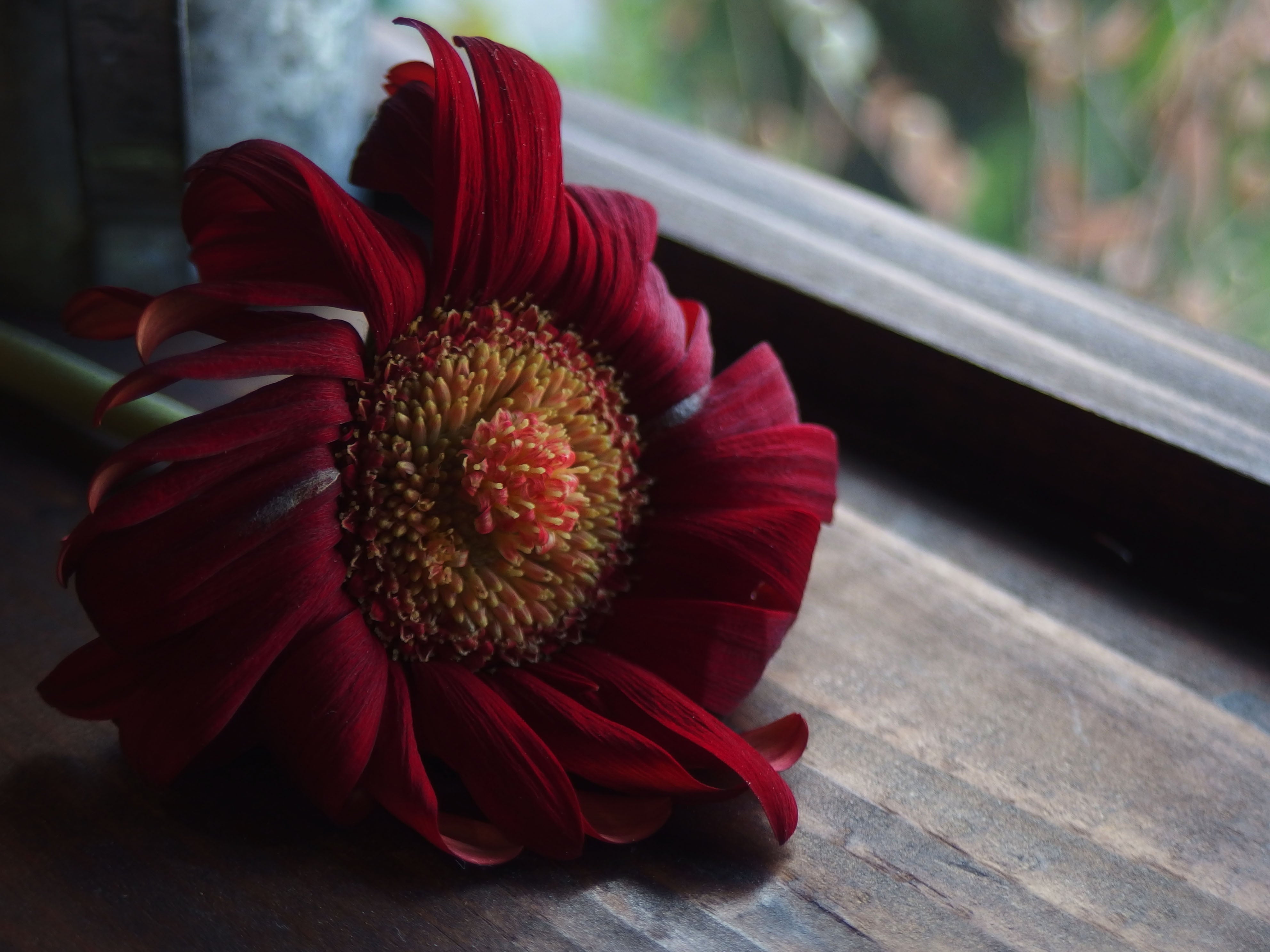 神秘的な「六字真言」が彫られた紅天珠 | Gems〜ジェムズ〜