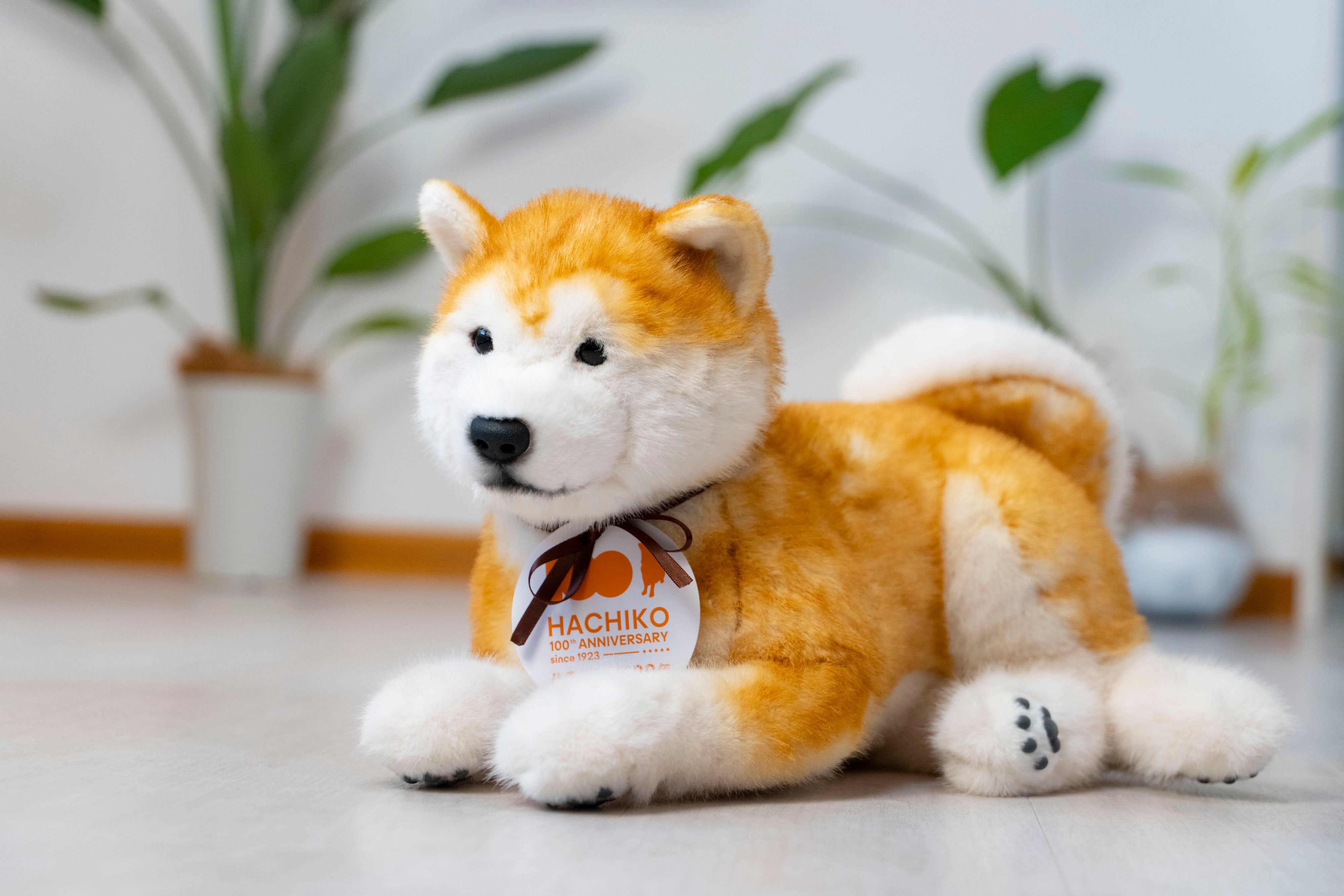 ハチ公生誕100年記念「撫でると鳴く、忠犬ハチ公型ロボット」商品化