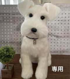 m14301789764_1.jpg?1745130222