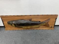 希少・名作】鈴木玉堂作 鮭 木彫り - メルカリ