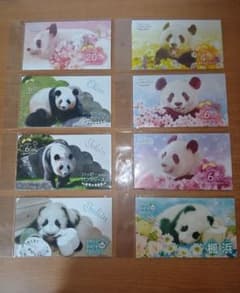 アドベンチャーワールド パンダ 良浜 桜浜 桃浜 結浜 楓浜 マスク