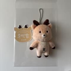 RIIZE ソンチャン ウラッバム ウラクバム ぬいぐるみ - メルカリ