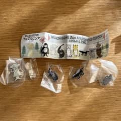 m52276244861_1.jpg?1763291432