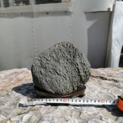 m75806058487_1.jpg?1682805161