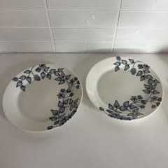 ArabiaアラビアRunoルノウインタースター プレート26cm 2枚 - メルカリ