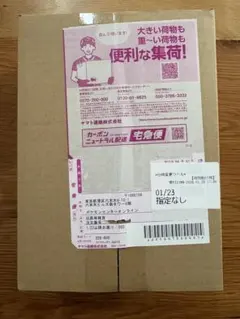 ポケセン産ムニキスゼロBOXシュリンク付未開封 - メルカリ