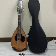 2026年最新】渡辺 マンドリンの人気アイテム - メルカリ