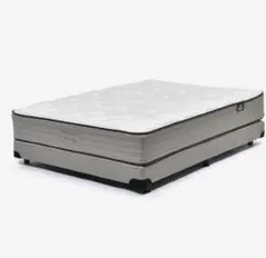 2026年最新】レガリア オネスティの人気アイテム - メルカリ