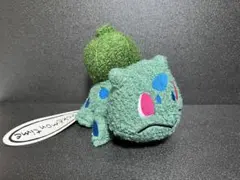 2026年最新】Pokemon time フシギダネの人気アイテム - メルカリ