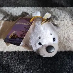 2026年最新】旭山動物園アザラシの人気アイテム - メルカリ