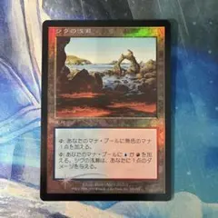 2026年最新】シヴの浅瀬 FOILの人気アイテム - メルカリ