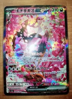 2026年最新】キチキギスex SAR psa10の人気アイテム - メルカリ