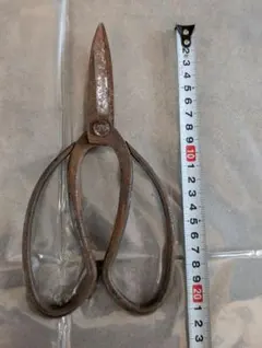 2026年最新】本成寺昇の人気アイテム - メルカリ