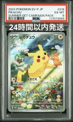 2026年最新】ピカチュウ ar 夏の人気アイテム - メルカリ