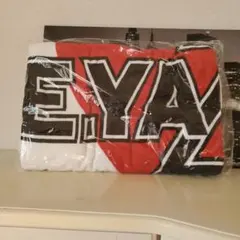 2026年最新】矢沢永吉スペシャルビーチタオルの人気アイテム - メルカリ