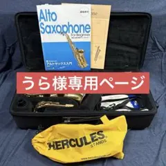 2026年最新】アルトサックス YAS-31の人気アイテム - メルカリ