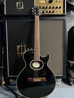 2026年最新】Washburn sbf-80の人気アイテム - メルカリ