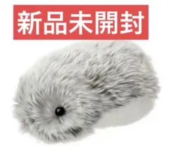 2026年最新】CASIO ぬいぐるみ本体の人気アイテム - メルカリ