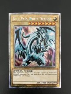 2026年最新】初期 ブルー アイズ ホワイト ドラゴンの人気アイテム