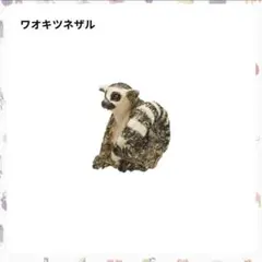 2026年最新】ワオキツネザルの人気アイテム - メルカリ