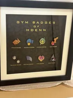 2026年最新】ジムバッジ ホウエンの人気アイテム - メルカリ