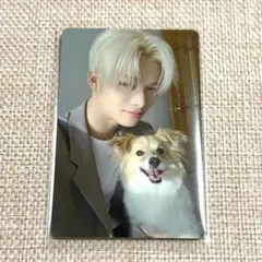 ENHYPEN 2025 アンケート 特典 FCトレカ ニキ - メルカリ