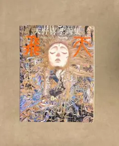 2026年最新】天野喜孝 飛天の人気アイテム - メルカリ