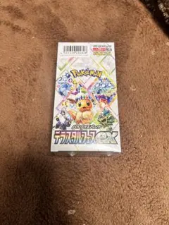 2026年最新】テラスタルフェス 1boxの人気アイテム - メルカリ