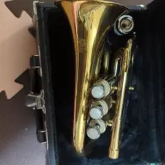 2026年最新】premonadoの人気アイテム - メルカリ