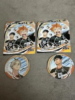 2026年最新】ハイキュー 菅原 缶バッジの人気アイテム - メルカリ