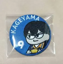 2026年最新】影山飛雄缶バッジの人気アイテム - メルカリ