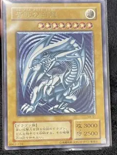 2026年最新】SM-51 青艶の人気アイテム - メルカリ