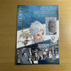 2026年最新】シュヴァイデンアドラーズの人気アイテム - メルカリ