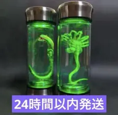 2026年最新】宇宙人ホルマリンの人気アイテム - メルカリ