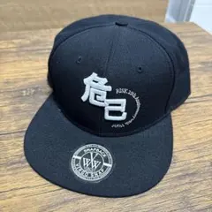 2026年最新】細美武士 キャップの人気アイテム - メルカリ