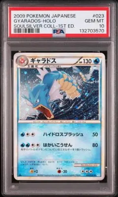 2026年最新】ギャラドス psa10の人気アイテム - メルカリ
