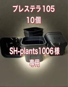 2026年最新】プレステラ 90 深鉢の人気アイテム - メルカリ