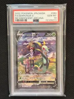 2026年最新】ジャローダv csr psa10の人気アイテム - メルカリ