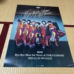 2026年最新】bye-bye show ポスターの人気アイテム - メルカリ