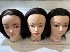 2026年最新】国家試験 カットウィッグレジーナの人気アイテム - メルカリ